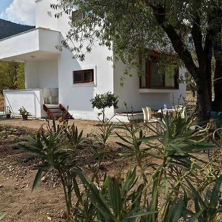 Semiz Apart Apartament *